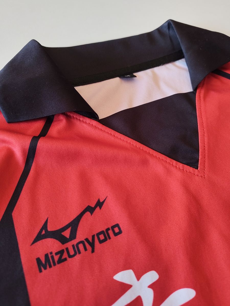 Close-up: Mizunyaro and the collar